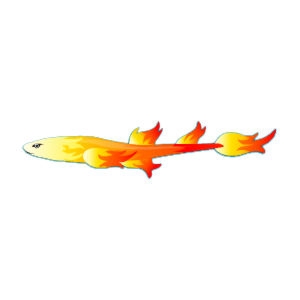 Fire Cat Shark